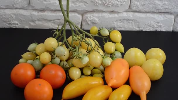 색깔의 토마토가 식탁에 있습니다 토마토 — 비디오