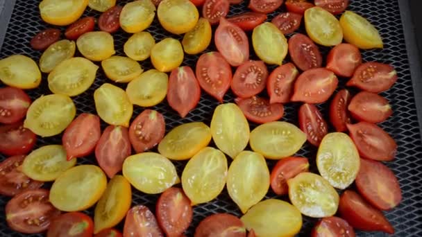 Proceso Cocción Tomates Secados Sol — Vídeos de Stock
