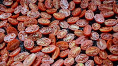 Kırmızı ve sarı kurutulmuş domatesler. İtalyan otları ve tuzu serpilmiş.