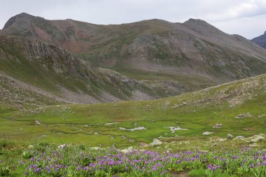 Summer mountain landscape in the Pontic Mountains, Turkey. Rocky mountain range, winding river, bright green meadows and alpine flowers in the valley
