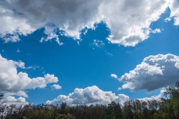 Yeşil ağaçlar ve güzel bulutlu mavi gökyüzü. Mavi bulutlu arka planda orman manzarası. Gün batımında güzel bulutlar.