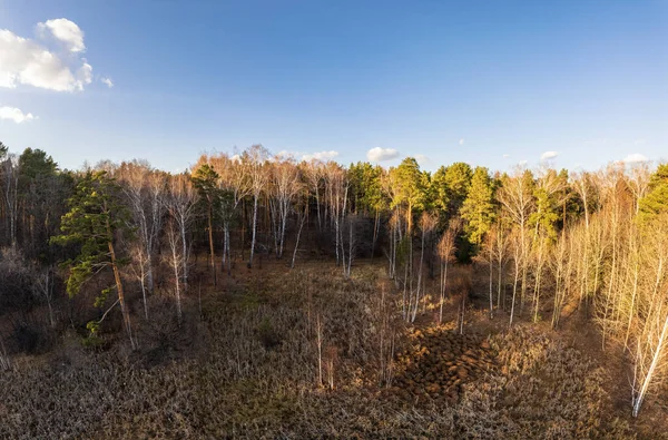 Vista Aérea Drone Deslumbrante Floresta Outono Colorido Queda Conceito Visão — Fotografia de Stock