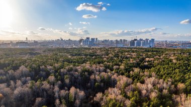 Günbatımında sonbahar ormanı ve ufukta şehir. Yekaterinburg, Rusya