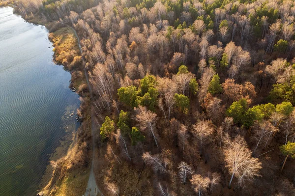 Floresta Outono Colorida Com Árvores Margem Lago Azul Vista Aérea — Fotografia de Stock