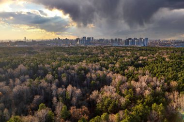 Günbatımında sonbahar ormanı ve ufukta şehir. Dramatik bir gökyüzü. Yekaterinburg, Rusya
