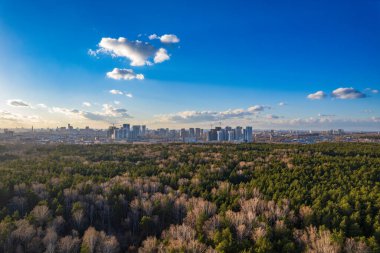 Günbatımında sonbahar ormanı ve ufukta şehir. Yekaterinburg, Rusya