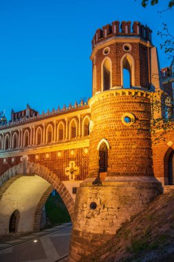 Moskova parkındaki Figured Köprüsü geceleri aydınlatma ile Tsaritsino. Moskova, Rusya. Moskova 'nın mimarisi. Renkli gece fotoğrafı.