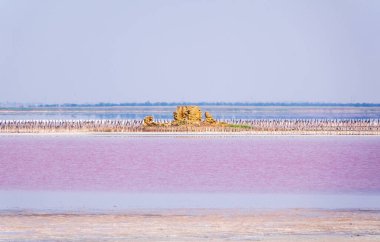 Pembe suyu olan güzel bir tuz gölü. Yaz günü pembe gölün güzel manzarası