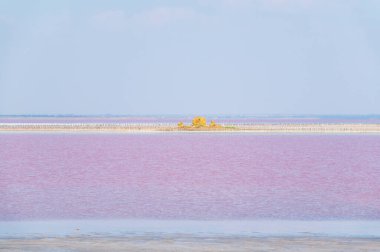 Pembe suyu olan güzel bir tuz gölü. Yaz günü pembe gölün güzel manzarası