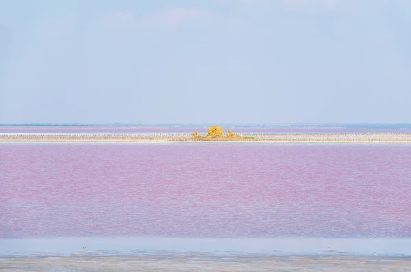 A beautiful salt lake with pink water. Beautiful view of pink lake on summer day