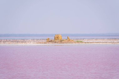 Pembe suyu olan güzel bir tuz gölü. Yaz günü pembe gölün güzel manzarası