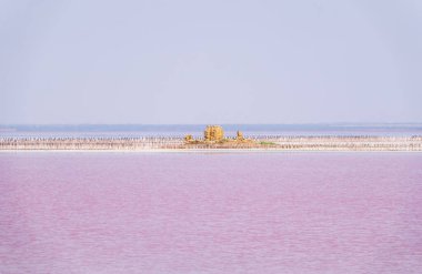 Pembe suyu olan güzel bir tuz gölü. Yaz günü pembe gölün güzel manzarası