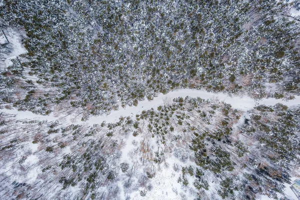 在冬季的森林里 空中俯瞰着被积雪覆盖的高大松树或云杉树的道路 在冬天开车 来自空中的冬季自然景观 冬天在雪地下的森林 — 图库照片