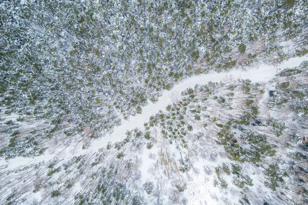 在冬季的森林里 空中俯瞰着被积雪覆盖的高大松树或云杉树的道路 在冬天开车 来自空中的冬季自然景观 冬天在雪地下的森林 — 图库照片