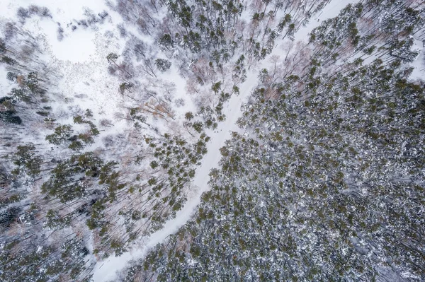 在冬季的森林里 空中俯瞰着被积雪覆盖的高大松树或云杉树的道路 在冬天开车 来自空中的冬季自然景观 冬天在雪地下的森林 — 图库照片