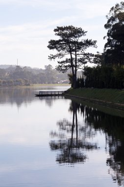 tramvay su sulak orman, giang, vietnam