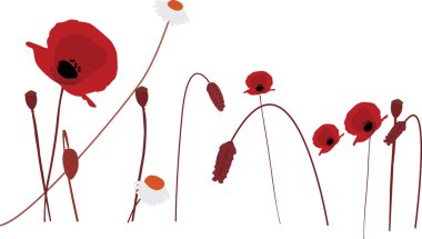 vahşi çiçek şekil