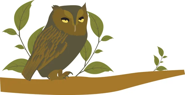 Owl sitting on tree branch Vector Graphics