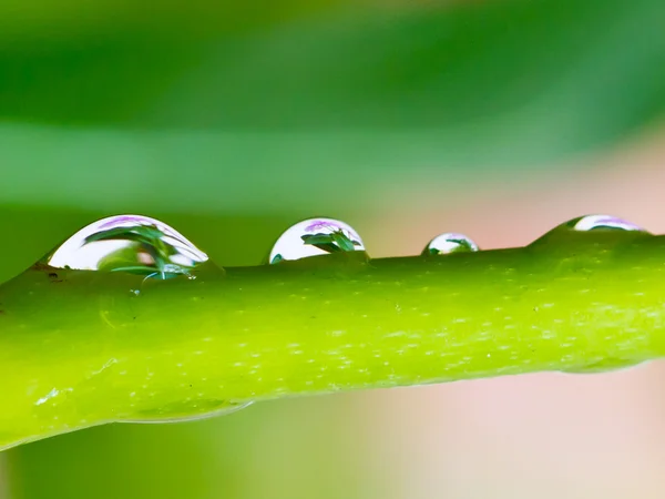 Water droplets on green background — Stock Photo, Image