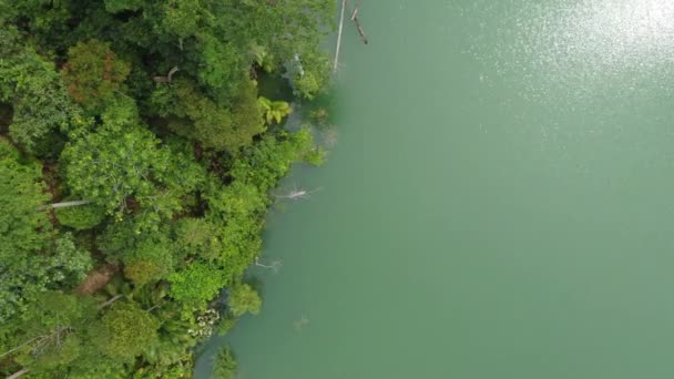 Aerial Top View Emerald Color Lake Tropical Jungle Green Rainforest — стоковое видео
