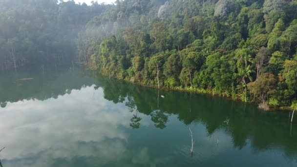 Malowniczy Widok Lotu Ptaka Jezioro Tropikalne Las Deszczowy Pływającym Kajakiem — Wideo stockowe