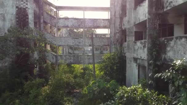 放棄され 捨てられたアパートやオフィスビル 生い茂った木々や植物を眺めながら館内を撮影したドローンパン — ストック動画