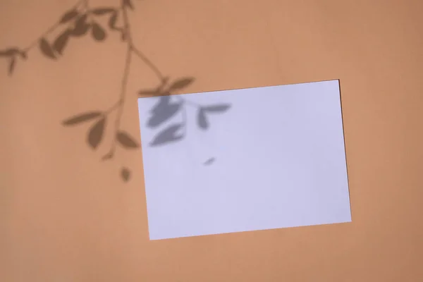 Blank White Card Mock Shadow Foliage Beige Neutral Tone Background — Stock Photo, Image