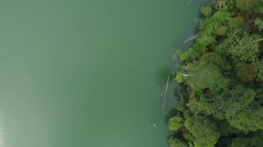 Zümrüt renkli göl ve tropikal yağmur ormanlarının havadan görünüşü.