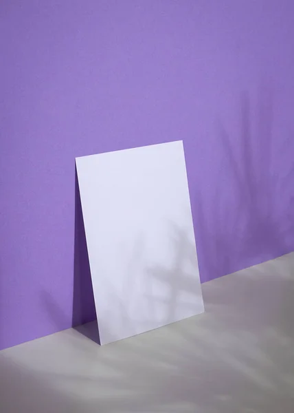 Blank Greeting Card Palm Shadow Purple Background Minimalist Mock Template — Stock Photo, Image