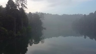 Sabah sisli göl manzarası ve tropikal yağmur ormanları. Düşük uçuş drone görünümü. 