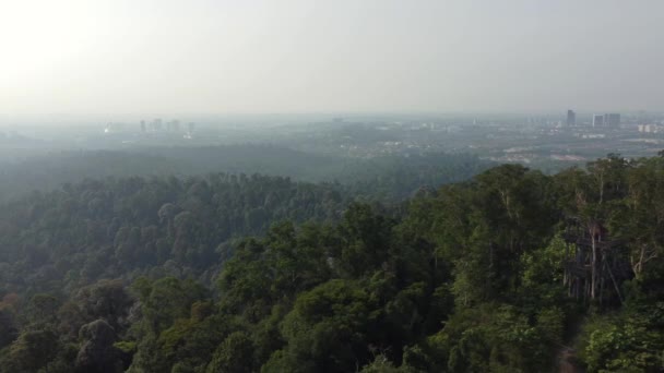 Vista Aerea Della Foresta Pluviale Tropicale Della Città All Orizzonte — Video Stock