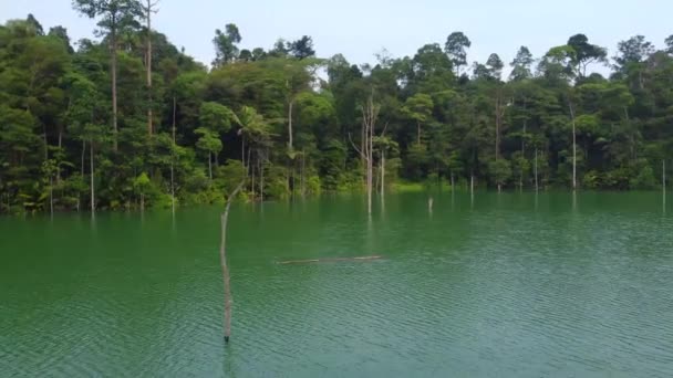 Lindo Lago Floresta Tropical Beleza Natural Localizado Malásia Sudeste Asiático — Vídeo de Stock