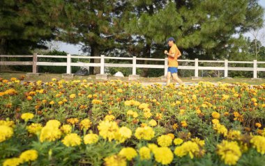 Ön planda sarı çiçeklerle parkta koşan bir koşucu. Bahar zamanı veya sağlıklı yaşam tarzı konsepti.