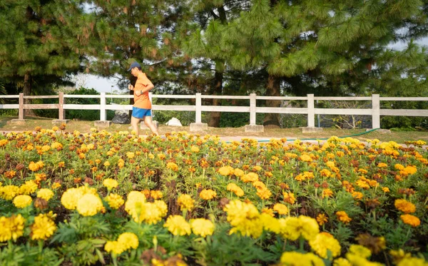 Man Runner Jogging Park Yellow Blooming Flowers Foreground Springtime Healthy — Stock Photo, Image