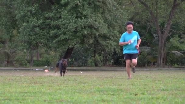 Happy Rottweiler Dog Running Together Man Field Sunny Day Summer — Stockvideo
