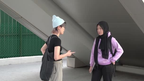 Two Asian Ethnicity Female College Student Friends Talking One Another — Vídeo de Stock