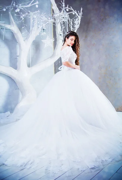 Beautiful brunette bride in a luxurious wedding dress in interior, winter style — Stock Photo, Image