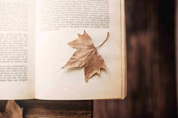 Opened old vintage book and yellow autumn maple leaf over wooden plank background. Flat lay. Fall background.