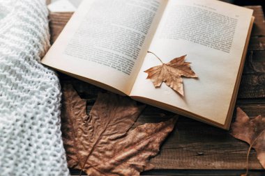 Milyon kakao ve tarçınlı kahve. Sonbaharda kitap okuyorum. Sonbahar yapraklı ahşap masa. Sabah rutini... yapraklara odaklan.