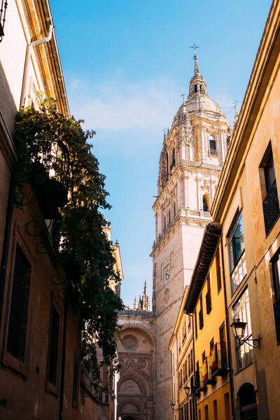 Salamanca street with a view of the cathedral, Spain