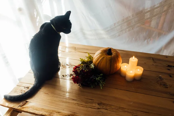 Halloween Abóbora Preto Gato Flores Velas Uma Mesa Madeira — Fotografia de Stock