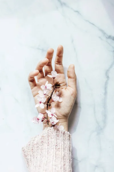 ดอกอ ลมอนด ชมพ ออกมาจากแขนเส อบนพ นหล แนวค ดฤด ใบไม — ภาพถ่ายสต็อก