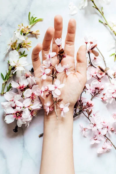 บเชอร ชมพ และดอกไม ลมอนด บนพ นหล แนวค ดฤด ใบไม — ภาพถ่ายสต็อก