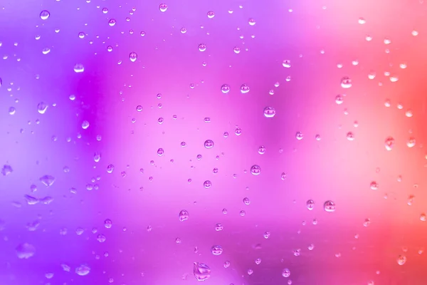 Gotas Lluvia Sobre Fondo Degradado Rosa Púrpura Imagen De Stock