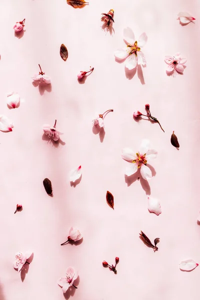 องค ประกอบของร ปแบบดอกไม ดอกไม ชมพ บนพ นหล ชมพ พาสเทล นวาเลนไทน — ภาพถ่ายสต็อก