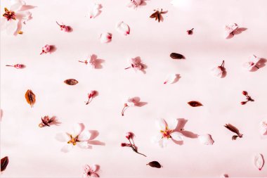 Çiçek desenli kompozisyon. Pastel pembe arka planda pembe çiçekler. Sevgililer Günü, Paskalya, Mutlu Kadınlar Günü, Anneler Günü. Düz konum, üst görünüm, kopyalama alanı