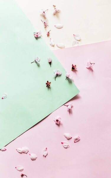 Flowers Pattern Composition Pink Flowers Pastel Pink Yellow Green Background Royalty Free Stock Photos