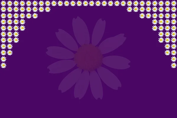 Chamomile flowers — Stock Photo, Image