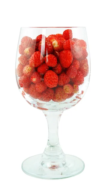 Fraises dans un verre — Photo