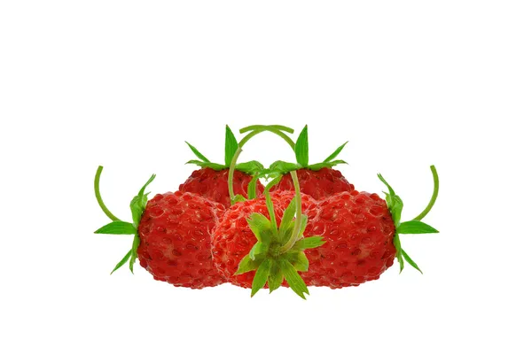 Aardbeien — Stockfoto